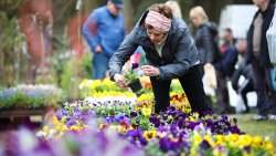 Wiosenne Targi Ogrodnicze - Pamiętajmy o ogrodach (23-24.04.2022)