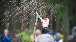 Wiosenne Targi Ogrodnicze - Pamiętajmy o ogrodach (23-24.04.2022)