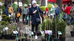 Wiosenne Targi Ogrodnicze - Pamiętajmy o ogrodach (23-24.04.2022)