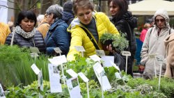 Wiosenne Targi Ogrodnicze - Pamiętajmy o ogrodach (23-24.04.2022)