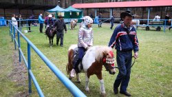 Wiosenne Targi Ogrodnicze - Pamiętajmy o ogrodach (23-24.04.2022)