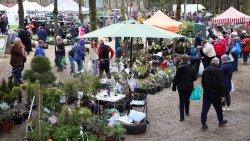 Wiosenne Targi Ogrodnicze - Pamiętajmy o ogrodach (23-24.04.2022)