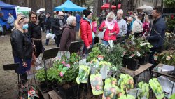 Wiosenne Targi Ogrodnicze - Pamiętajmy o ogrodach (23-24.04.2022)