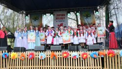 Jawor - u źródeł kultury w Olsztynku