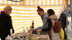 Jawor - u źródeł kultury w Olsztynku