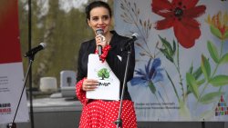 Jawor - u źródeł kultury w Olsztynku