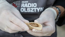 Radio od kuchni (29.06.2022)