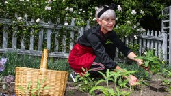 Radio od kuchni (13.07.2022)