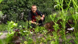 Radio od kuchni (13.07.2022)