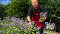 Radio od kuchni (13.07.2022)