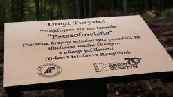 Sadzenie lasu na 70-lecie Radia Olsztyn