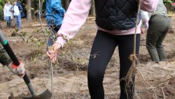 Sadzenie lasu na 70-lecie Radia Olsztyn