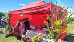 Jesienne Targi Rolnicze w Gryźlinach