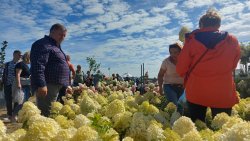 Jesienne Targi Rolnicze w Gryźlinach