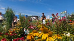 Jesienne Targi Rolnicze w Gryźlinach