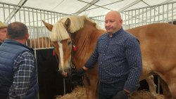 Jesienne Targi Rolnicze w Gryźlinach