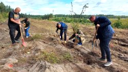 Sadzenie lasu na 70-lecie Radia Olsztyn