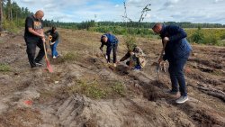 Sadzenie lasu na 70-lecie Radia Olsztyn