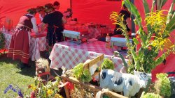 Jesienne Targi Rolnicze w Gryźlinach