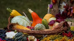 Wojewódzkie dożynki w Olsztynku (18.09.2022)