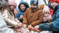 Finał Bitwy o Pączki