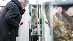 Wystawa pająków w Olsztynie