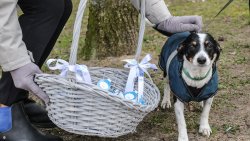 Wielkanocna akcja Radia Olsztyn