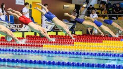 Mistrzostwa Polski Seniorów i Młodzieżowców w pływaniu