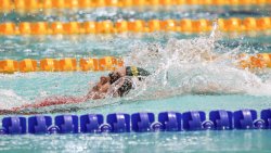 Mistrzostwa Polski Seniorów i Młodzieżowców w pływaniu