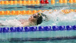 Mistrzostwa Polski Seniorów i Młodzieżowców w pływaniu