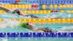 Mistrzostwa Polski Seniorów i Młodzieżowców w pływaniu