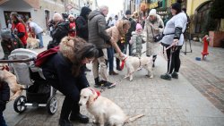 32. Finał WOŚP w Olsztynie [28.01.2024]
