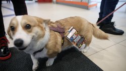 32. Finał WOŚP w Olsztynie [28.01.2024]