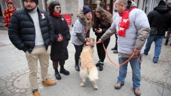 32. Finał WOŚP w Olsztynie [28.01.2024]