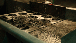 Olsztyńska spalarnia śmieci [01.02.2024]