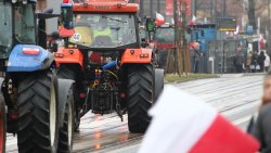 Protest rolników w Olsztynie [20.02.2024]