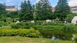 Piknik napoleoński w Lidzbarku Warmińskim [8.06.2024]