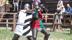 Dni Grunwaldu [10.07.2024]