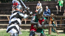 Dni Grunwaldu [10.07.2024]