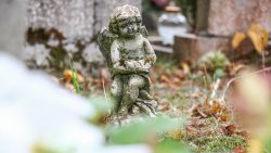 Wszystkich Świętych w Olsztynie [1.11.2024]