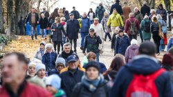 Wszystkich Świętych w Olsztynie [1.11.2024]