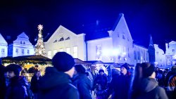 Warmiński Jarmark Świąteczny w Olsztynie [15.12.2024]