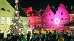 Warmiński Jarmark Świąteczny w Olsztynie [15.12.2024]