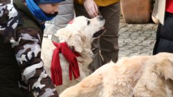 33. finał WOŚP [26.01.2025]