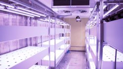 Kontener hydroponiczny Banku Żywności [18.03.2025]