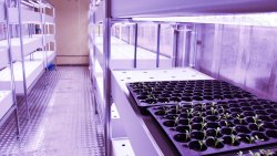 Kontener hydroponiczny Banku Żywności [18.03.2025]