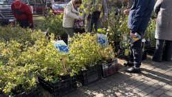 Wiosenne Targi Ogrodnicze [25.04.2026]