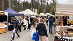 Wiosenne Targi Ogrodnicze [25.04.2026]