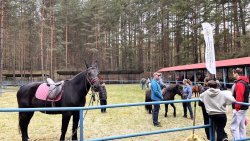 Wiosenne Targi Ogrodnicze [25.04.2026]