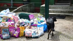 Lato z Pupilem [28.07.2026]